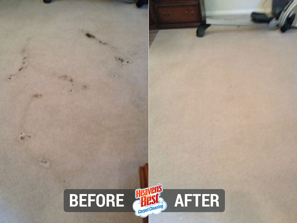 Heaven's Best Carpet Cleaning of Indy