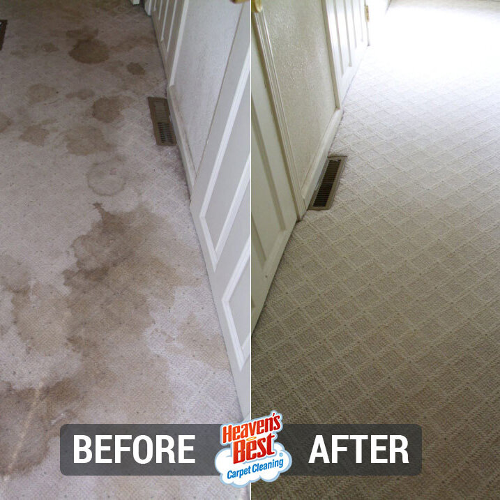 Heaven's Best Carpet Cleaning of Indy